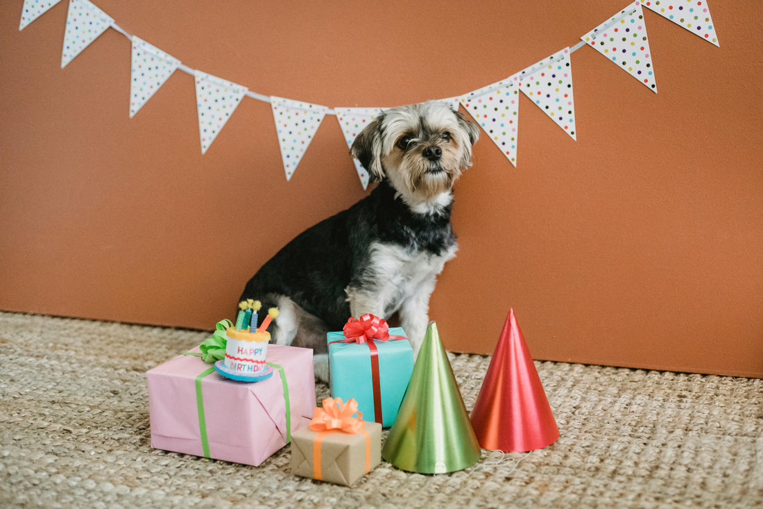 Celebrating Milestones: Birthday, Adoption Anniversary, and More