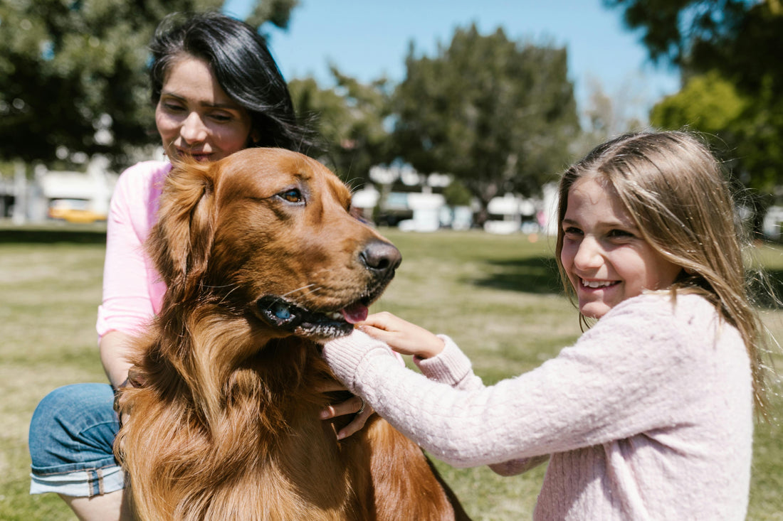 Family-Friendly Training: Getting Kids Involved Safely