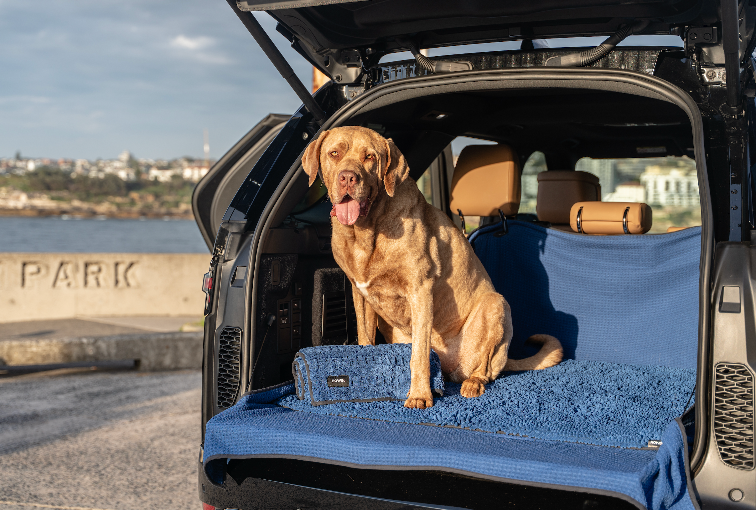 Dog sitting in car on top of Howel dog towels